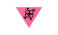 Dawn Holland Transgender Nation trans flag
