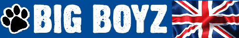 Big Boyz Website Logo